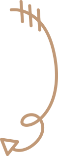 Bottom Arrow
